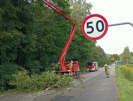 Konary drzew nad jezdnią w Jonkowie i Wilimowie — interwencje strażaków