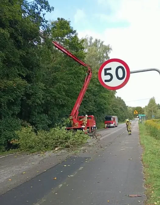 Konary drzew nad jezdnią w Jonkowie i Wilimowie — interwencje strażaków