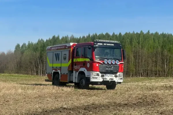 Interwencje OSP Barczewo: owady błonkoskrzydłe w Zalesiu i alarm z monitoringu na ul. Kraszewskiego