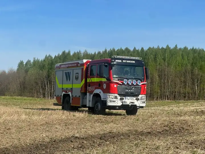Interwencje OSP Barczewo: owady błonkoskrzydłe w Zalesiu i alarm z monitoringu na ul. Kraszewskiego