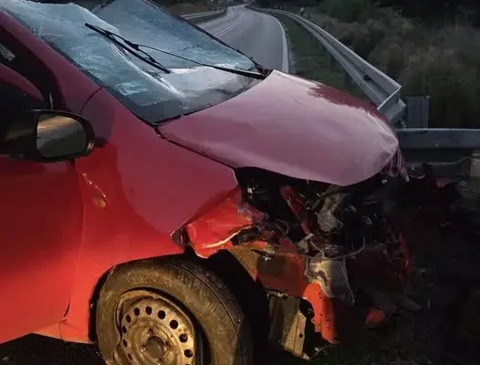 Zderzenie samochodu ze zwierzęciem leśnym na DW527 pod Olsztynem
