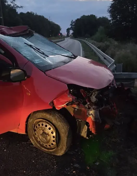 Zderzenie samochodu ze zwierzęciem leśnym na DW527 pod Olsztynem