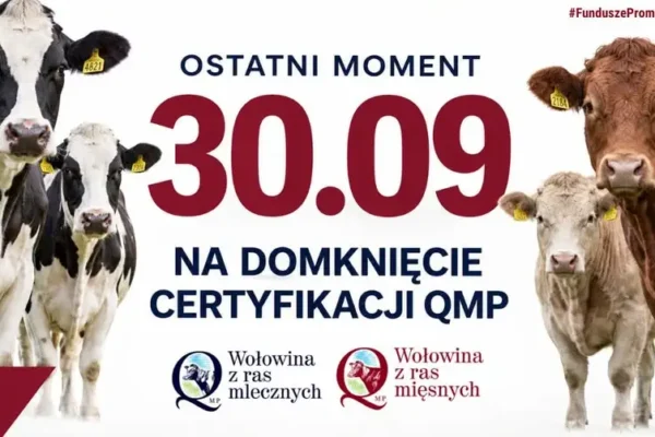 Rolnicy mają czas tylko do 30 września. Chodzi o certyfikat QMP i dopłaty