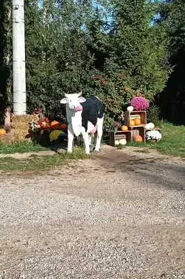 Przedszkolaki z Gietrzwałdu odkrywały jesień w Dyniolandii w Bartbo