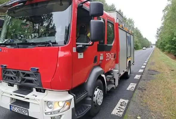 Kolizja ze zwierzęciem leśnym w Olsztynie – interwencja OSP i JRG