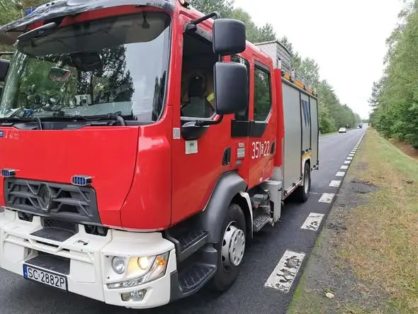 Kolizja ze zwierzęciem leśnym w Olsztynie – interwencja OSP i JRG