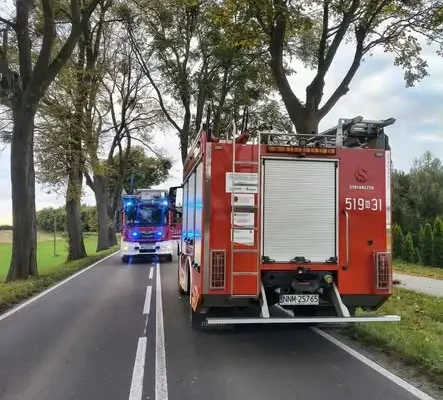 Pęknięty konar nad drogą wojewódzką 538 w Biskupcu — interwencja strażaków
