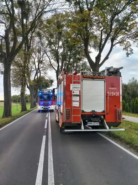 Pęknięty konar nad drogą wojewódzką 538 w Biskupcu — interwencja strażaków