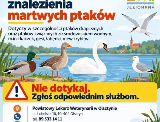 Martwe ptaki w środowisku — Wojewódzki Lekarz Weterynarii apeluje o zgłaszanie