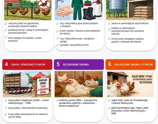 Grypa ptaków: Powiatowy Lekarz Weterynarii w Olsztynie apeluje o bioasekurację